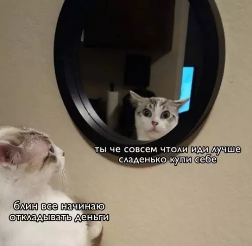 Смешная картинка №745294