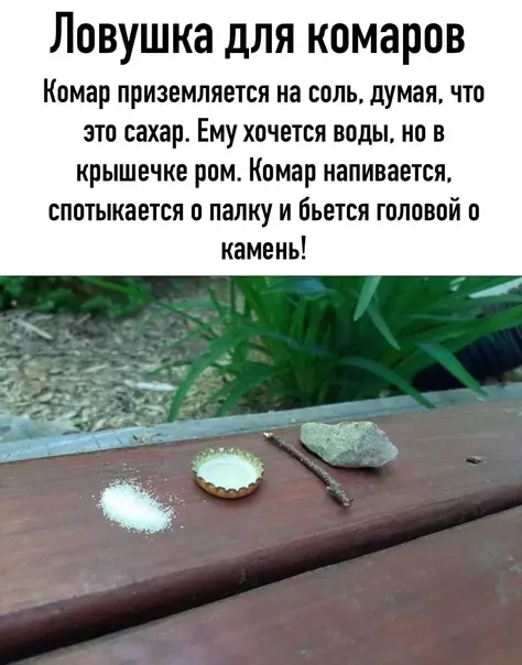 Смешная картинка №581233