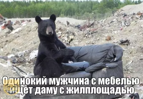 Смешная картинка №346635 #приколы #картинки #мемы ?
