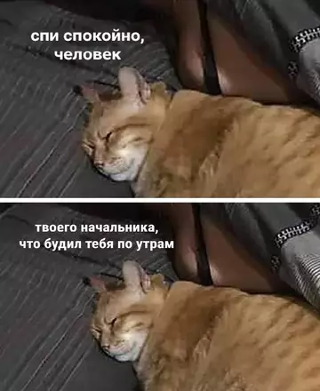Смешная картинка №756314 Настоящий друг.
