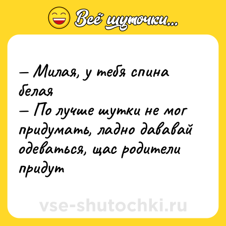 Шутка: — Милая, у тебя спина белая <br>— По лучше шутки не мог придумать, ладно дававай одеваться, щас родители придут
