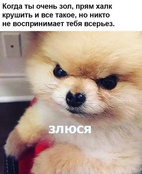 Смешная картинка №341558