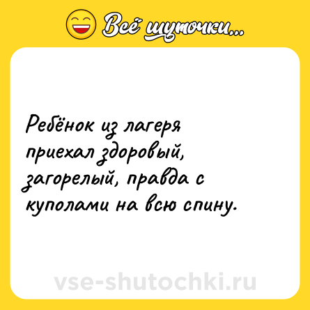 Шутка: Ребёнок из лагеря приехал здоровый, загорелый, правда с куполами на всю спину.