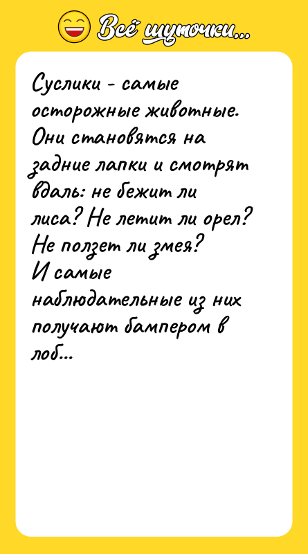 Суслики - самые осторожные животные. Они становятся на задние лапки