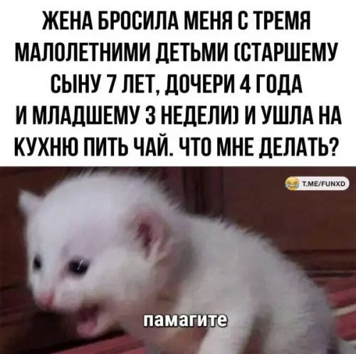 Смешная картинка №653130