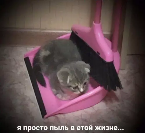 Смешная картинка №711293