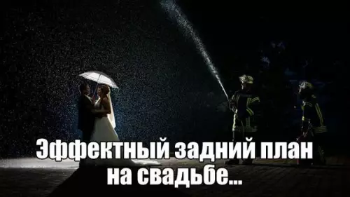 Смешная картинка №188716