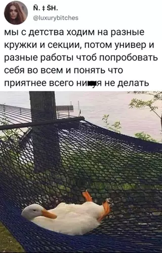Смешная картинка №652040