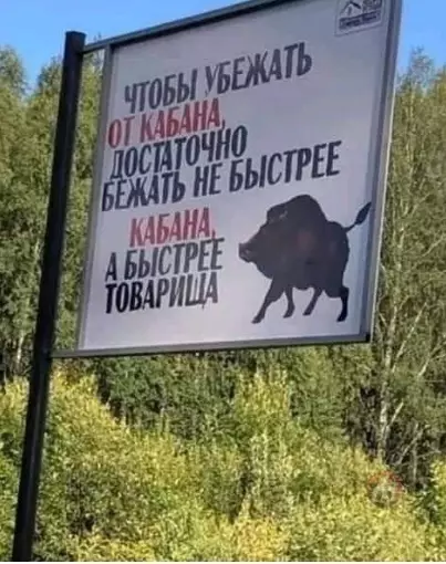Смешная картинка №479237 В лес без друга ни ногой ?