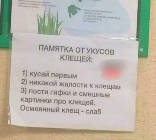 Инструкция по выживанию от клещей 🕷️😂 - ПАМЯТКА ОТ УКУСОВ КЛЕЩЕЙ: 1) кусай первым 2) никакой жалости