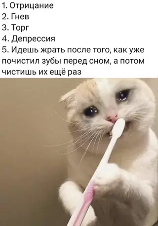 Смешная картинка №710227