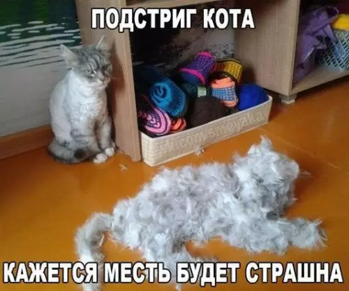 Смешная картинка №195301