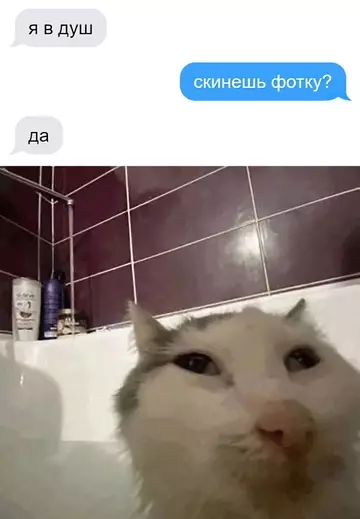 Смешная картинка №750958