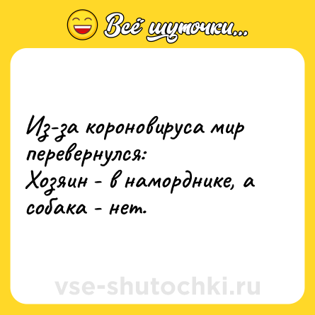 Шутка: Из-за короновируса мир перевернулся:<br>Хозяин - в наморднике, а собака - нет.