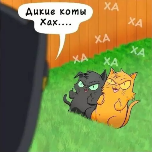Смешная картинка №559535 Твoй кoтик живёт лyчшe, чeм ты