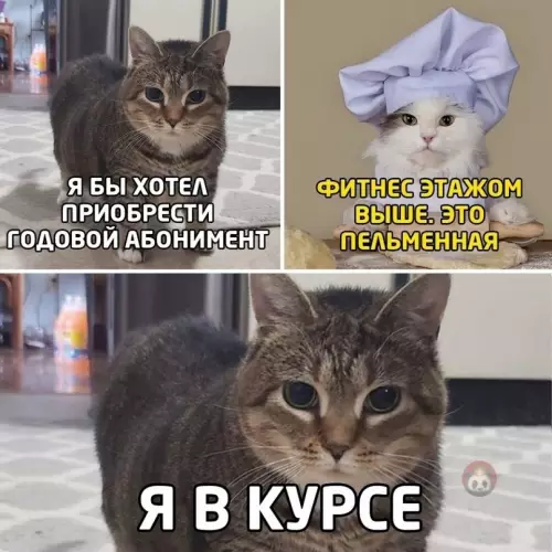 Смешная картинка №604561 Когда ты толстенький и не стесняешься ?