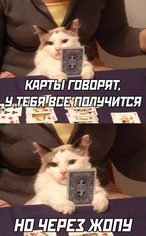Смешная картинка №663864