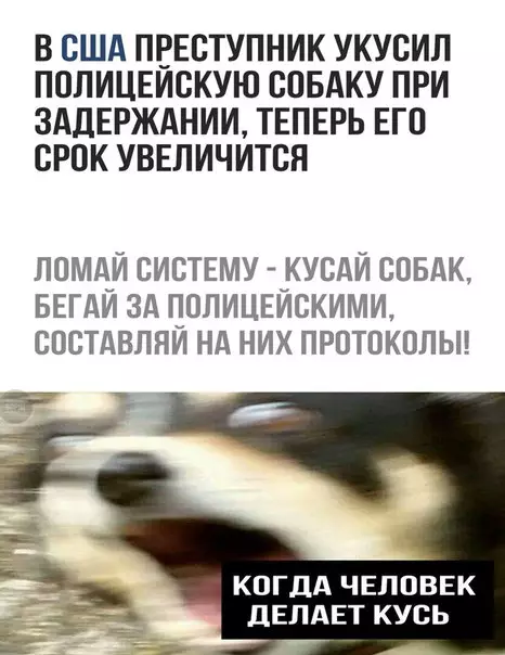 Смешная картинка №245334