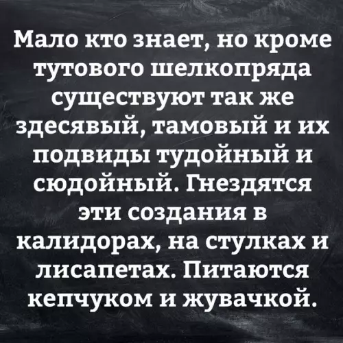 Смешная картинка №273998