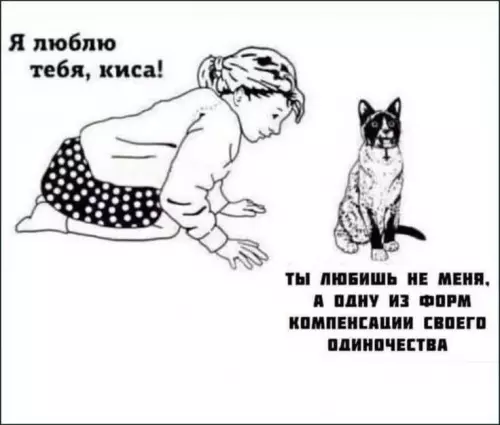 Кот раскрыл всю правду! 🙀 - Я люблю тебя, киса! Ты любишь не меня, а одну