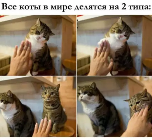 Смешная картинка №191747