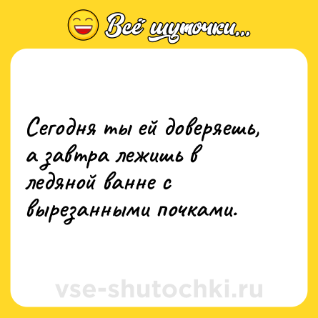 Шутка: Сегодня ты ей доверяешь, а завтра лежишь в ледяной ванне с вырезанными почками.