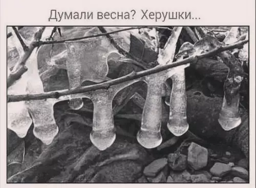 Смешная картинка №255458