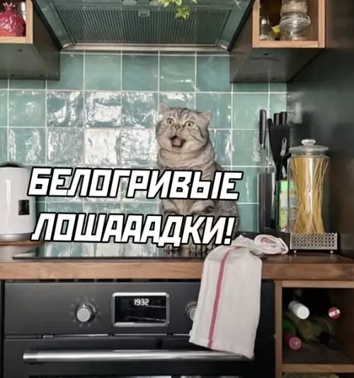 продолжение Смешная картинка №583658