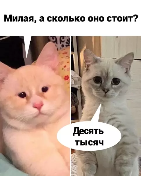 продолжение Смешная картинка №571734
