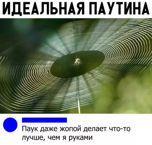 Смешная картинка №324204