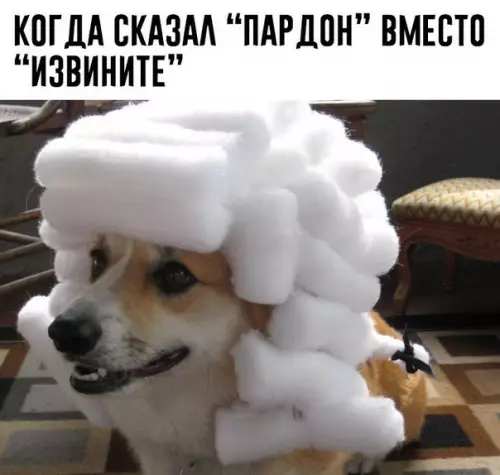 Смешная картинка №215864