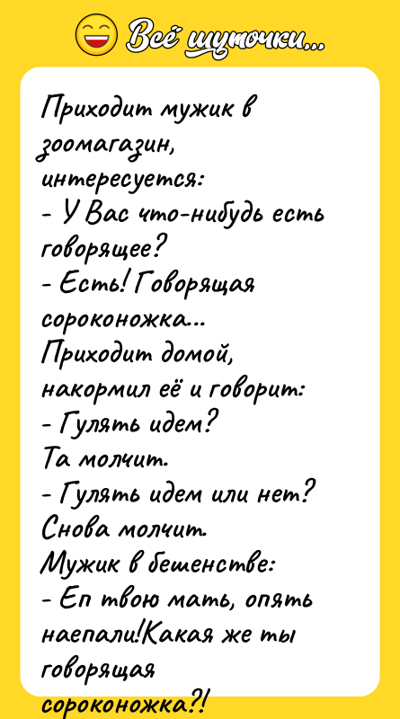 Приходит мужик в зоомагазин, интересуется: - У Вас что-нибудь есть