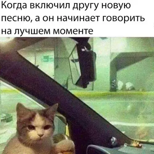 Смешная картинка №249380