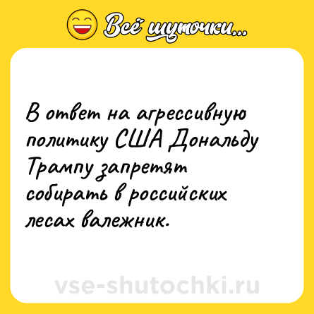 Шутка: В ответ на агрессивную политику США Дональду Трампу запретят собирать в российских лесах валежник.