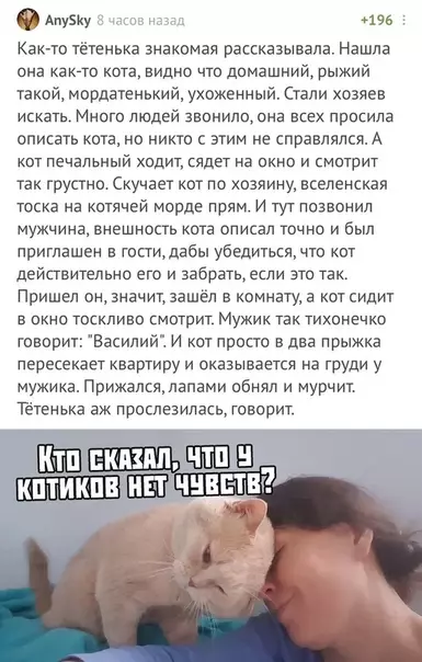 Смешная картинка №381154