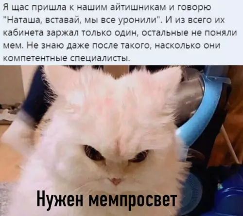 Смешная картинка №511067