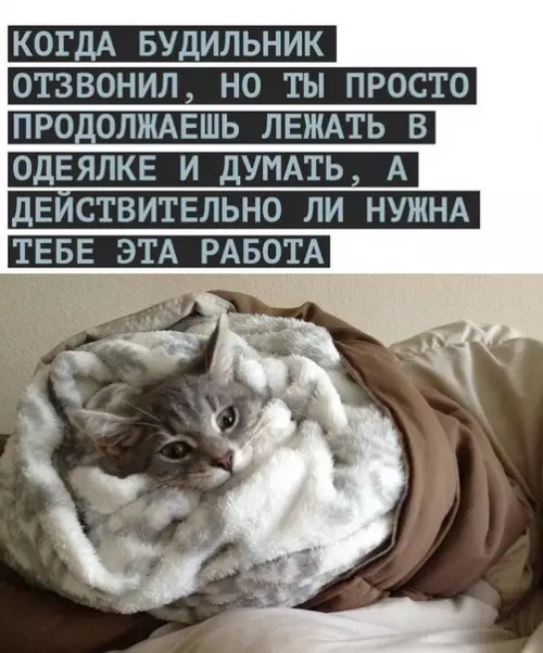 Смешная картинка №267689
