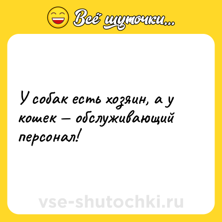 Шутка: У собак есть хозяин, а у кошек — обслуживающий персонал!