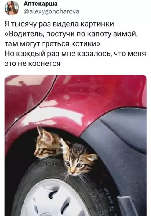 Смешная картинка №706163