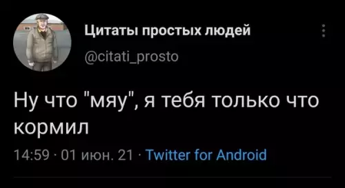Смешная картинка №590962 Звучит в каждом доме, где живет кот