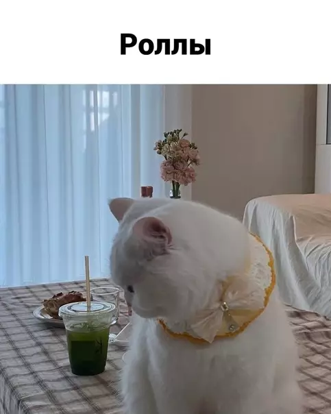 продолжение Смешная картинка №574634