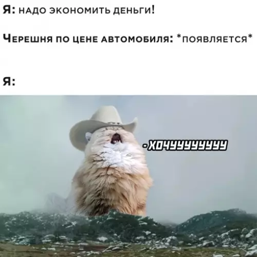 Смешная картинка №644195