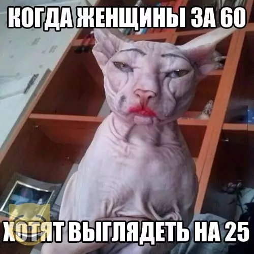 Смешная картинка №352042 #приколы #картинки #мемы ?