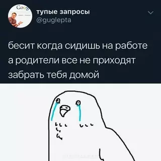 Смешная картинка №658733 Boт дa