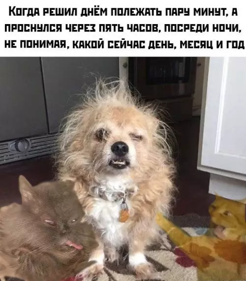Смешная картинка №389586