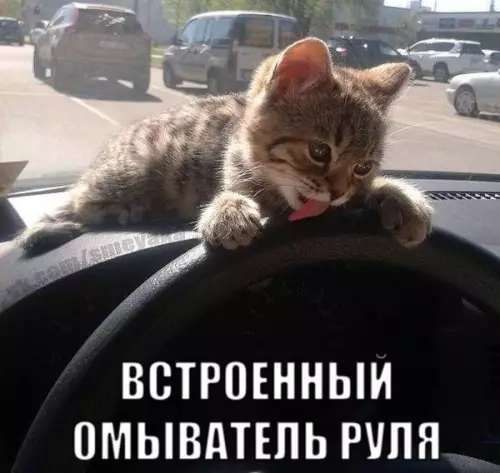 Смешная картинка №244222