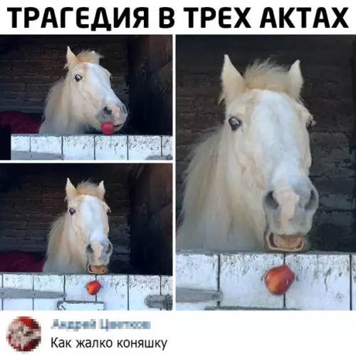 Смешная картинка №509844