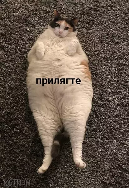Смешная картинка №400440 Если не знаете, чем заняться в понедельник вечером
