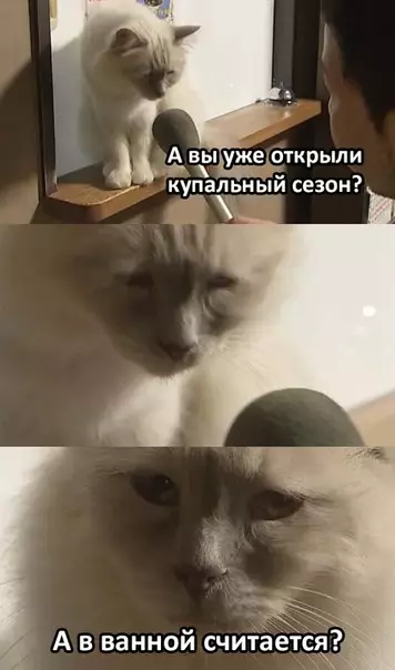 Смешная картинка №289256