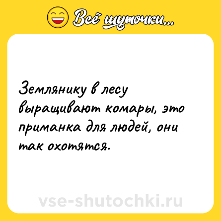 Шутка: Землянику в лесу выращивают комары, это приманка для людей, они так охотятся.